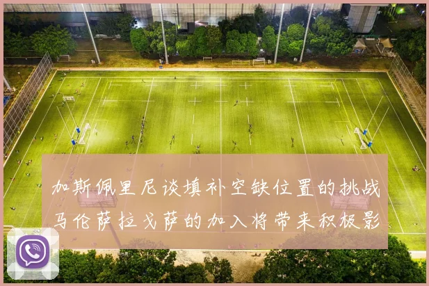 加斯佩里尼谈填补空缺位置的挑战马伦萨拉戈萨的加入将带来积极影响