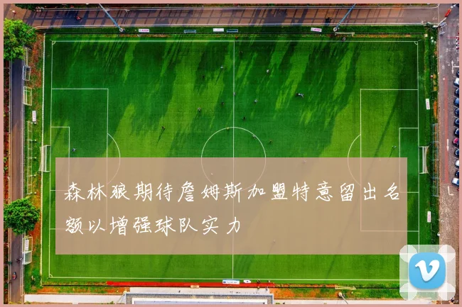 森林狼期待詹姆斯加盟特意留出名额以增强球队实力